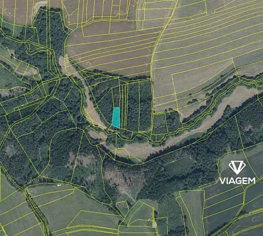 Prodej podílu lesa, Chýstovice, 485 m2