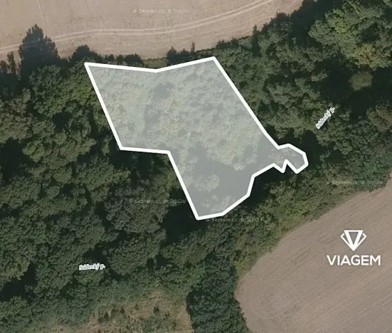 Prodej podílu lesa, Hlinka, 3418 m2