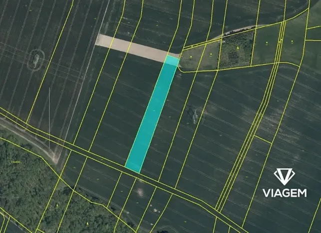 Prodej podílu pole, Vilantice, 1256 m2