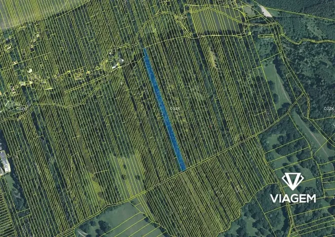 Prodej podílu lesa, Kněždub, 3060 m2