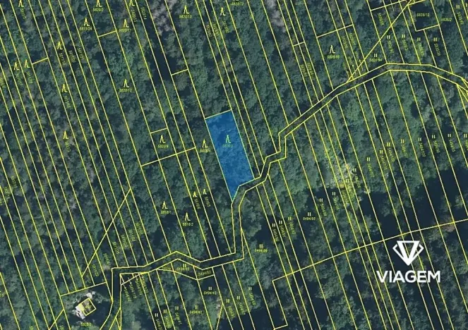 Prodej podílu lesa, Kněždub, 3060 m2