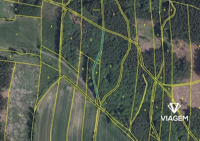 Prodej podílu pole, Slatina nad Úpou, 395 m2