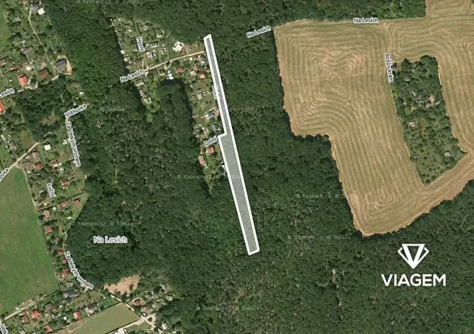 Prodej lesa, Vráž, 3233 m2