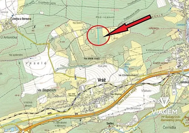 Prodej lesa, Vráž, 3233 m2