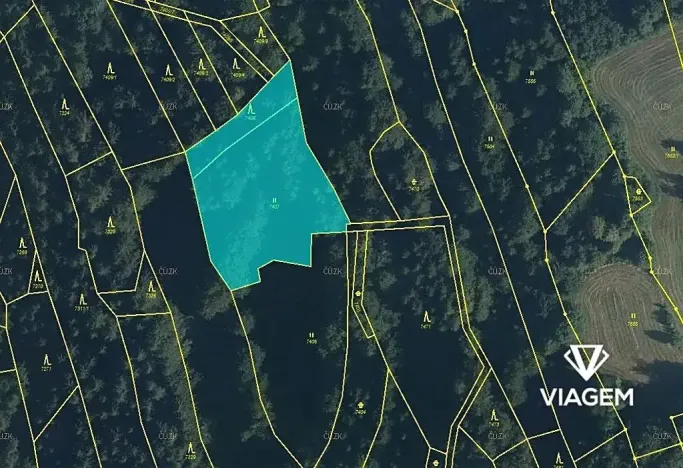 Prodej podílu lesa, Nový Hrozenkov, 879 m2