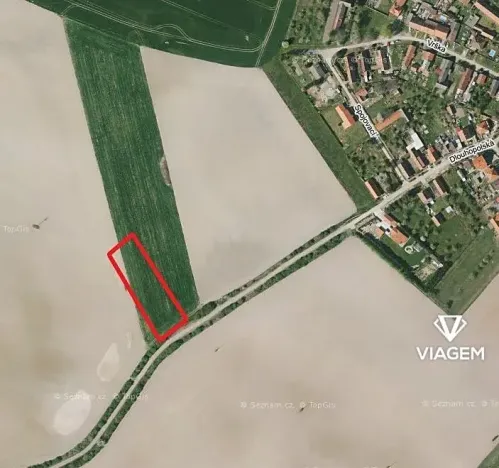 Prodej podílu pole, Běrunice, 1961 m2