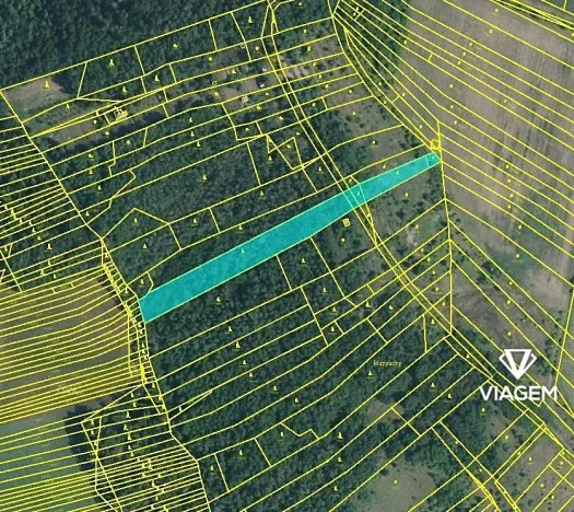 Prodej lesa, Silůvky, 4817 m2