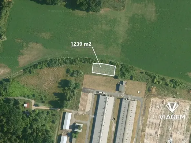 Prodej pole, Lipec, 1239 m2