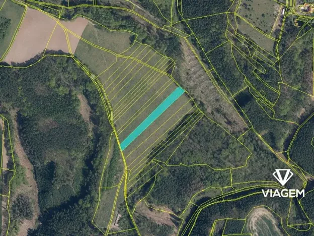 Prodej podílu pole, Nosálov, 2172 m2