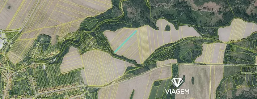 Prodej pole, Doubravice nad Svitavou, 1925 m2