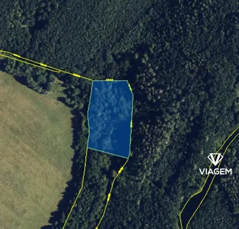 Prodej podílu pole, Dolní Újezd, 2804 m2