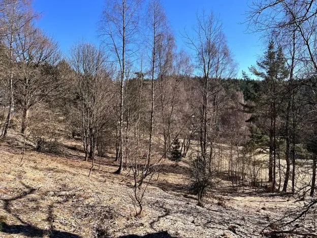 Prodej pozemku pro bydlení, Nejdek, 1008 m2