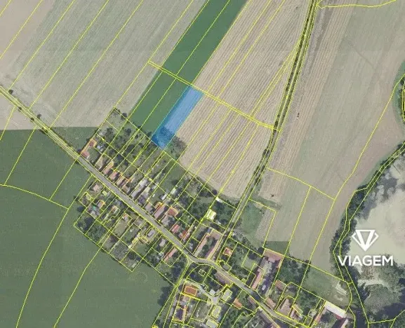 Prodej pole, Toušice, 3554 m2