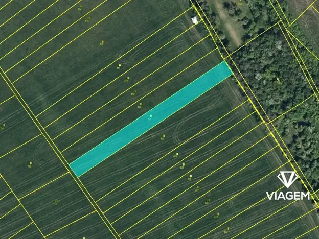 Prodej pole, Žiželice, 2136 m2