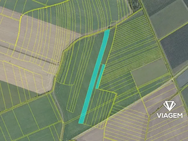 Prodej podílu pole, Běrunice, 4726 m2