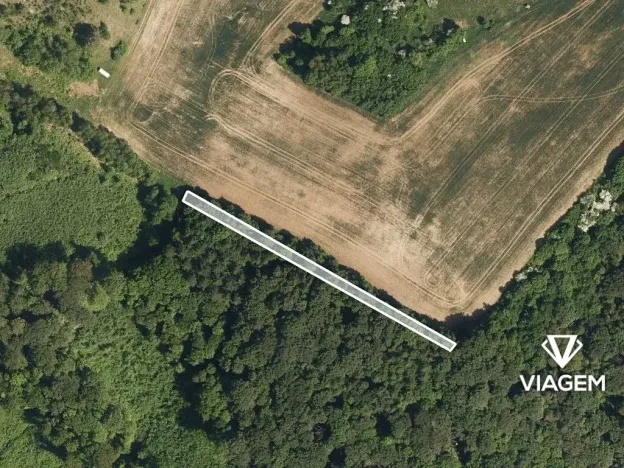 Prodej lesa, Snovídky, 1073 m2