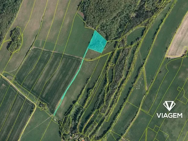 Prodej lesa, Liptaň, 9587 m2