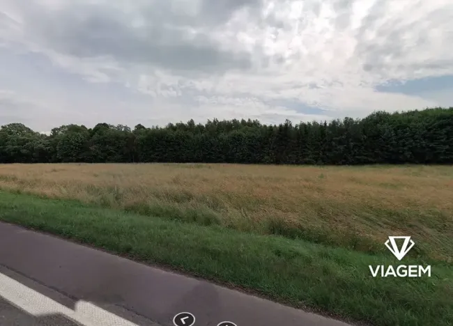 Prodej pole, Brantice, 2478 m2