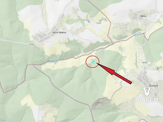 Prodej podílu lesa, Žlutava, 2234 m2