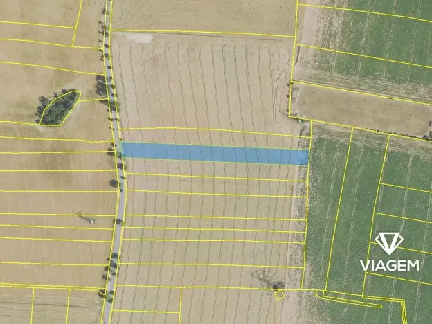 Prodej pole, Zbuzany, 5218 m2