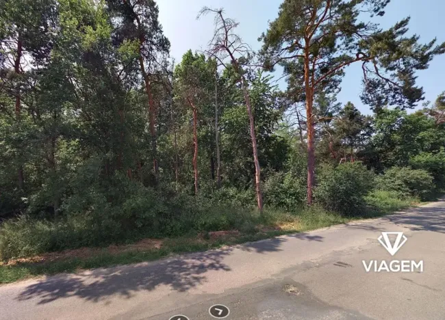 Prodej lesa, Křenek, 2867 m2