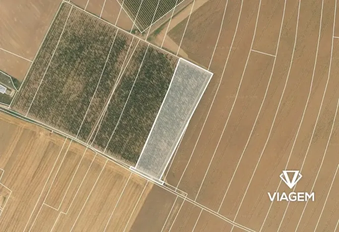 Prodej podílu pole, Chotiněves, 3600 m2