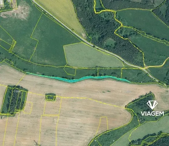 Prodej lesa, Svojšín, 3555 m2