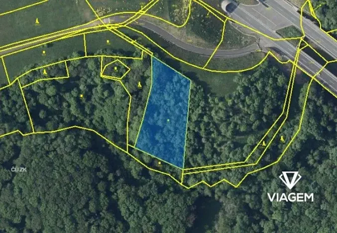 Prodej podílu lesa, Prackovice nad Labem, 2074 m2