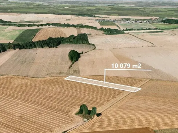 Prodej podílu pole, Dolní Životice, 1083 m2