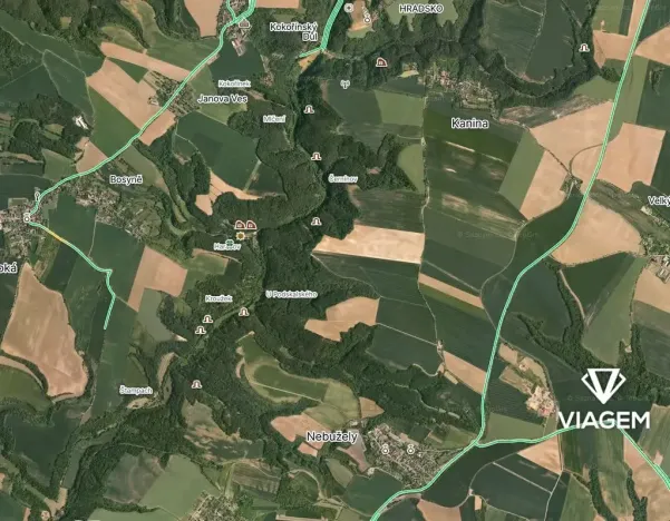 Prodej podílu lesa, Kokořín, 7736 m2