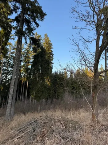 Prodej podílu lesa, Stará Paka, 4610 m2