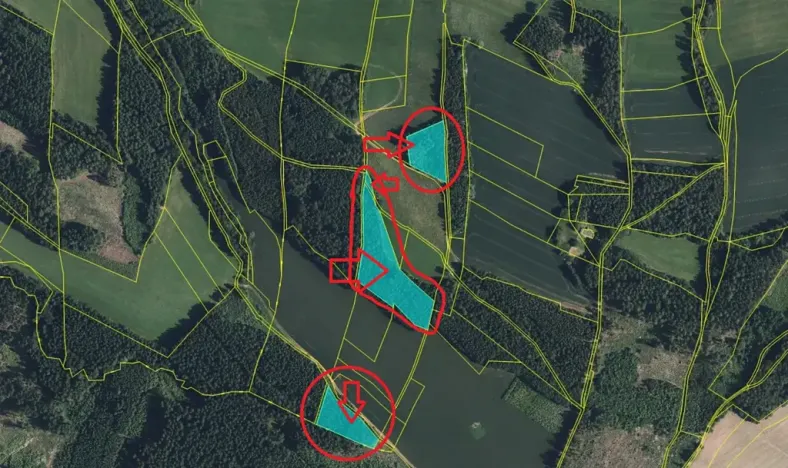 Prodej podílu lesa, Stará Paka, 4610 m2