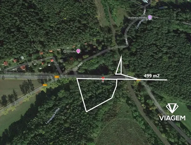 Prodej podílu lesa, Plasy, 478 m2