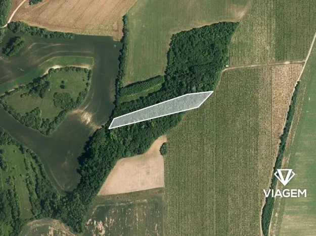 Prodej podílu lesa, Kyjov, 1102 m2