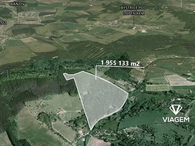 Prodej podílu lesa, Bánov, 76973 m2