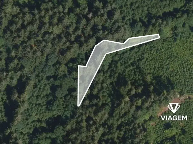 Prodej podílu lesa, Vysoké nad Jizerou, 742 m2