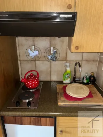 Prodej bytu 1+kk, Patergassen, Rakousko, 18 m2