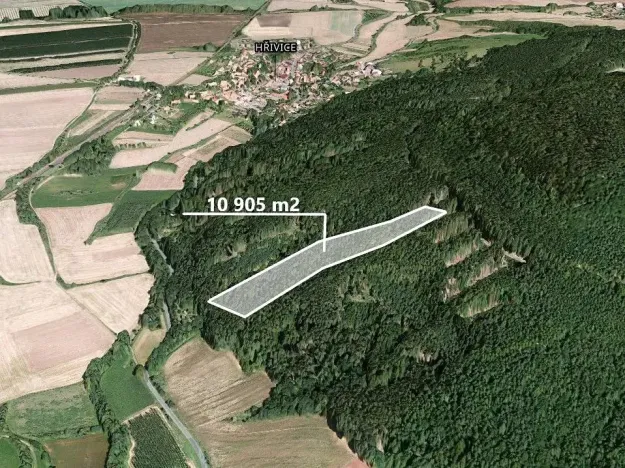 Prodej podílu lesa, Hřivice, 5452 m2