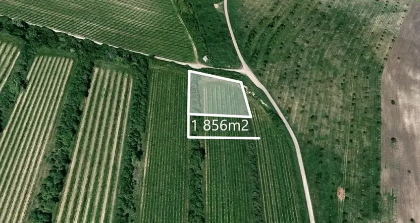 Prodej sadu/vinice, Šardice, 1856 m2