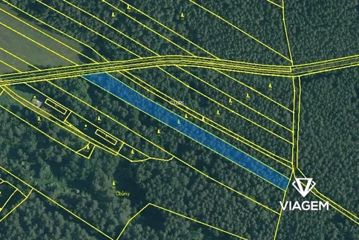 Prodej podílu lesa, Drahov, 2032 m2