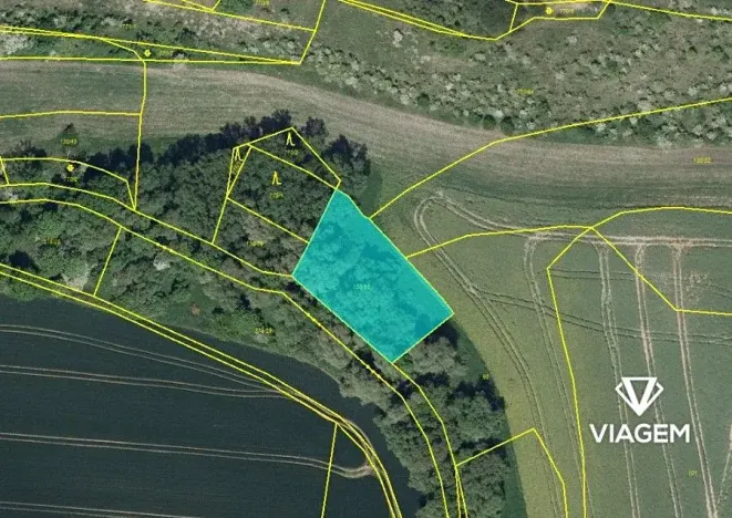 Prodej pole, Zbrašín, 1578 m2