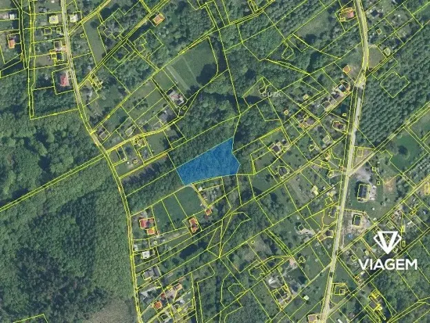 Prodej lesa, Orlová, 4764 m2