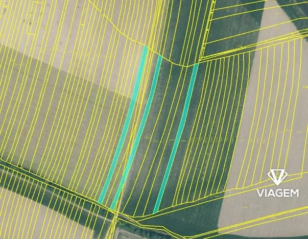 Prodej podílu pole, Podolí, 1451 m2