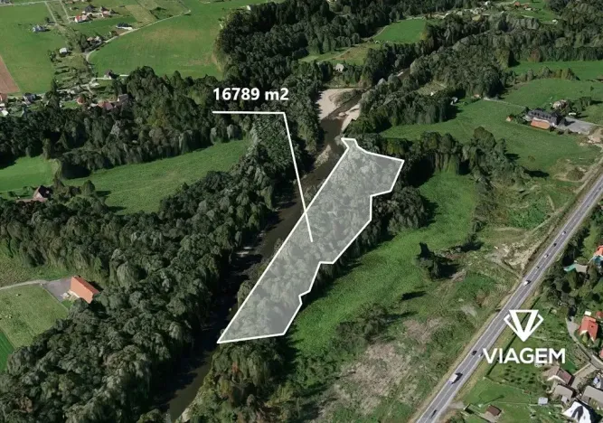 Prodej podílu lesa, Bystřice, 1818 m2