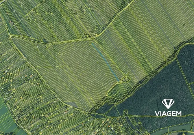 Prodej pole, Strážnice, 3361 m2