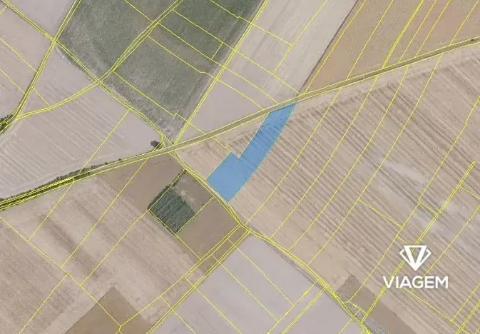 Prodej podílu pole, Sudovo Hlavno, 4453 m2