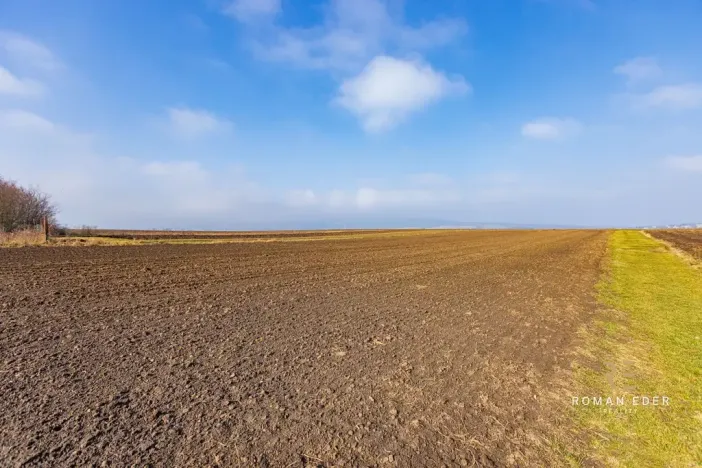 Prodej vícegeneračního domu, Chotiněves, 495 m2