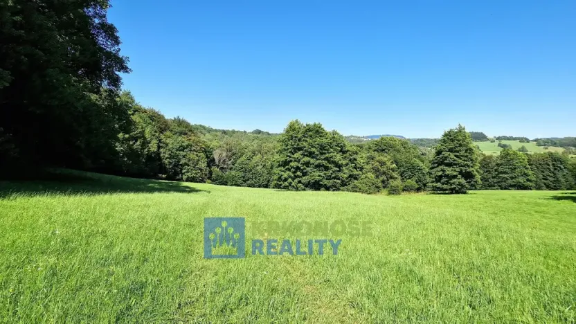 Prodej louky, Trutnov - Babí, 68585 m2