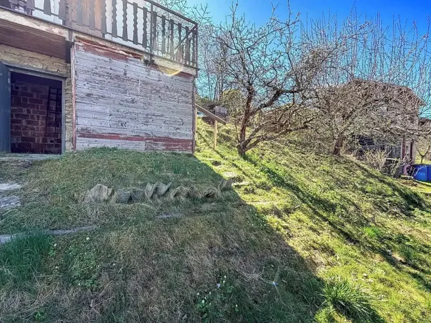 Prodej chaty, Vysoké Mýto, Vinice, 17 m2