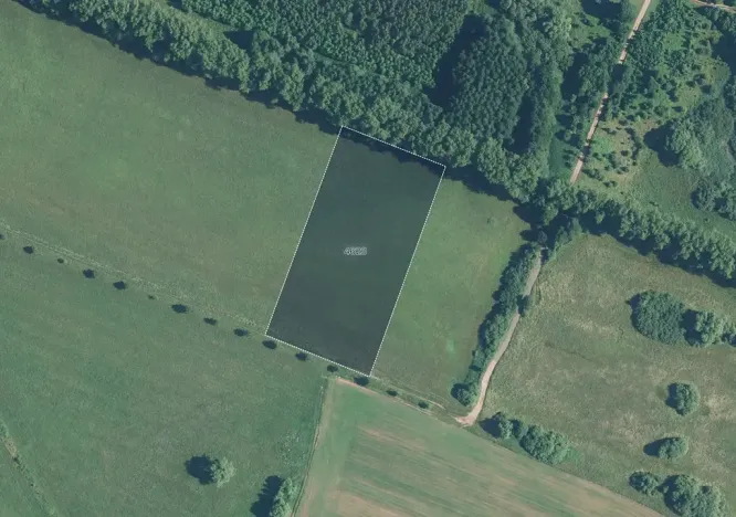 Prodej louky, Dvůr Králové nad Labem, 10323 m2